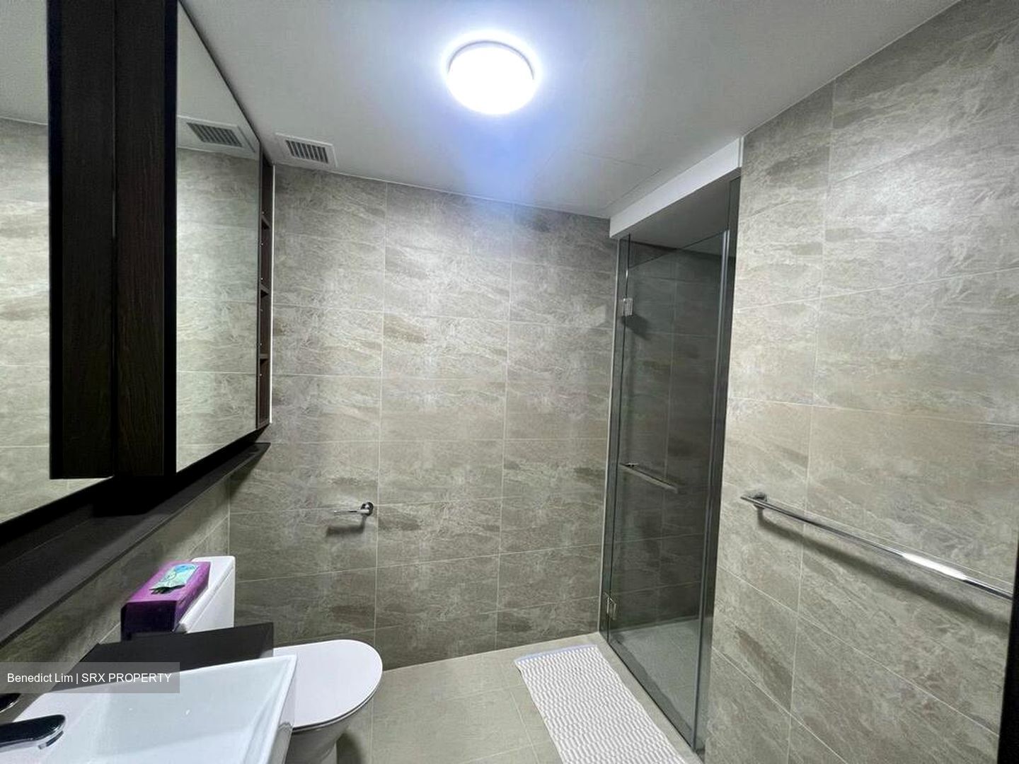 Riverfront Residences (D19), Apartment #461097631